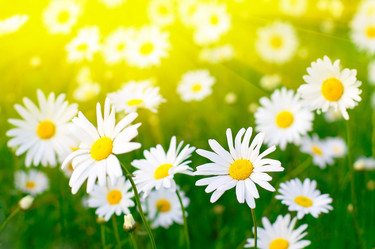 Similar image 1668876