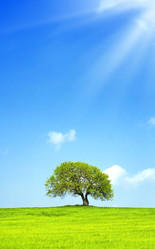 Similar image 1668884