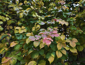 Similar image 1669014