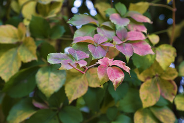 Similar image 1669016