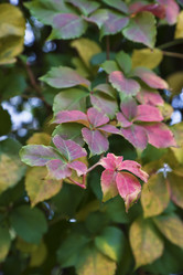 Similar image 1669017