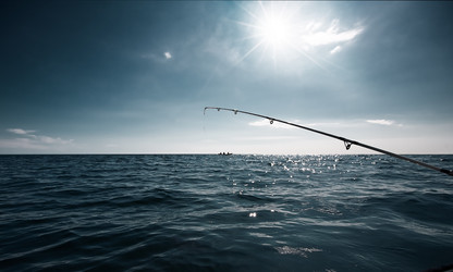 Similar image 1669059