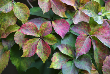 Similar image 1669079