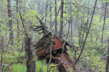 Similar image 1669236