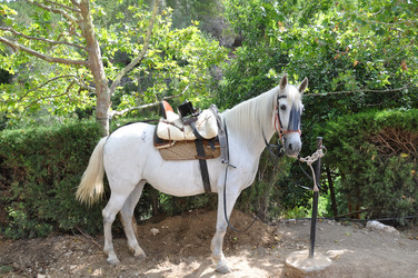 Similar image 1671574