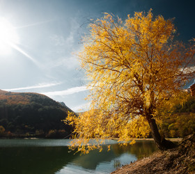 Similar image 1671614