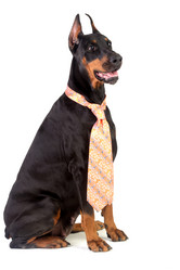 Similar image 1673633