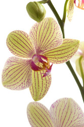 Similar image 1673687