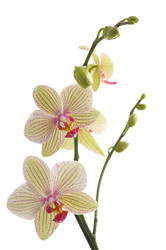 Similar image 1673709