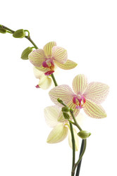 Similar image 1673710