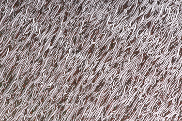 Similar image 1673711