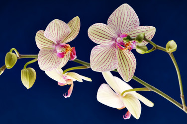 Similar image 1673712