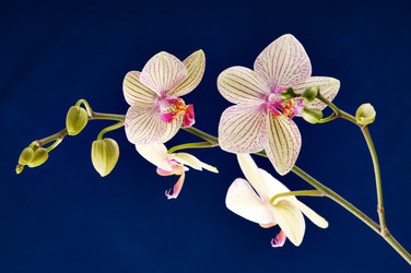 Similar image 1673714