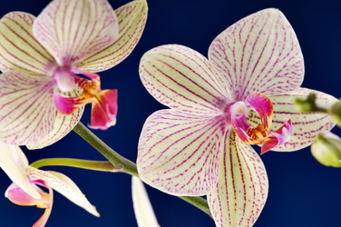 Similar image 1673715