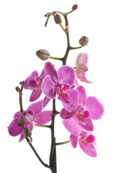 Similar image 1673722