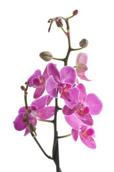 Similar image 1673723