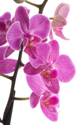 Similar image 1673724