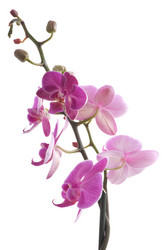 Similar image 1673725