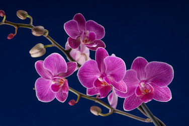 Similar image 1673726