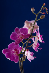 Similar image 1673727