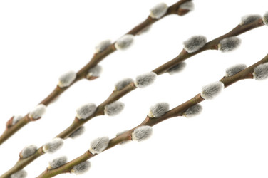 Similar image 1673733