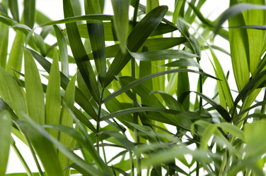 Similar image 1673735