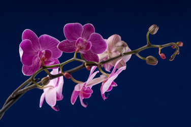 Similar image 1673738