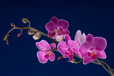 Similar image 1673739