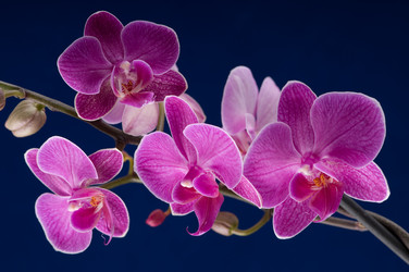 Similar image 1673740