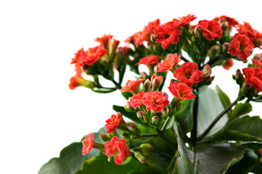 Similar image 1673741