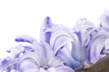 Similar image 1673748