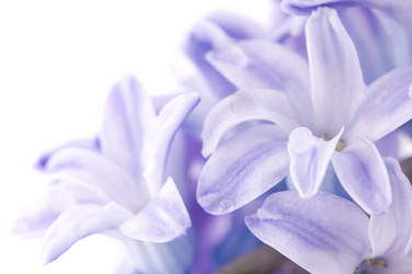 Similar image 1673749