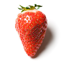 Similar image 1673752