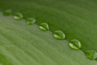 Similar image 1673754