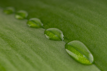 Similar image 1673756