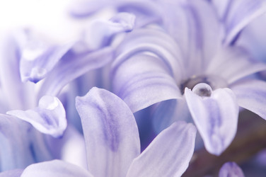 Similar image 1673761