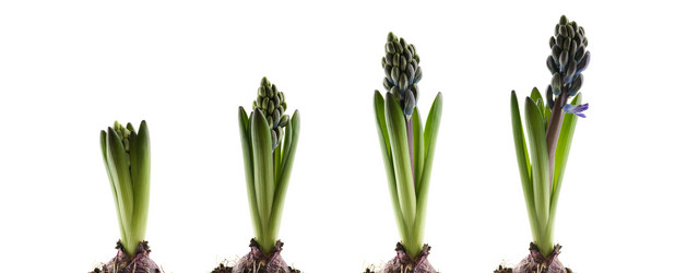 Similar image 1673762