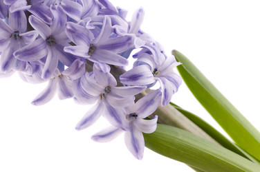 Similar image 1673763