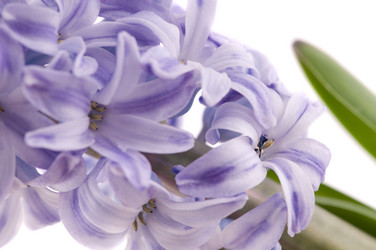 Similar image 1673764