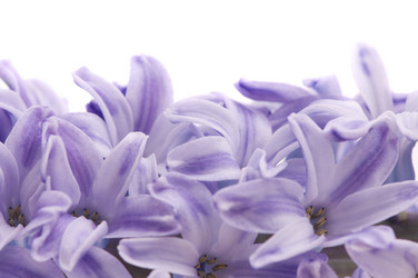 Similar image 1673765