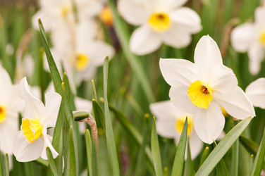 Similar image 1673768