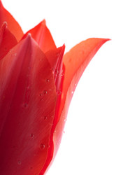 Similar image 1673777