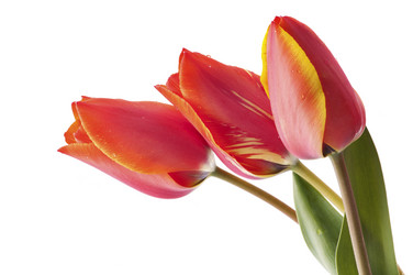 Similar image 1673782