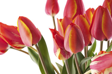 Similar image 1673783