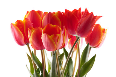 Similar image 1673784