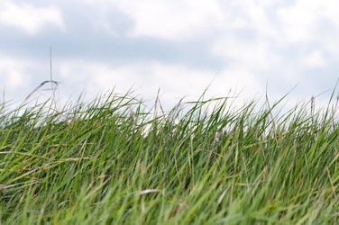 Similar image 1673788