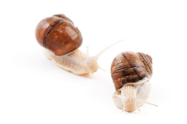 Similar image 1673789