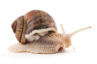 Similar image 1673792