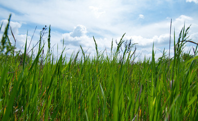 Similar image 1673796