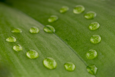 Similar image 1673798